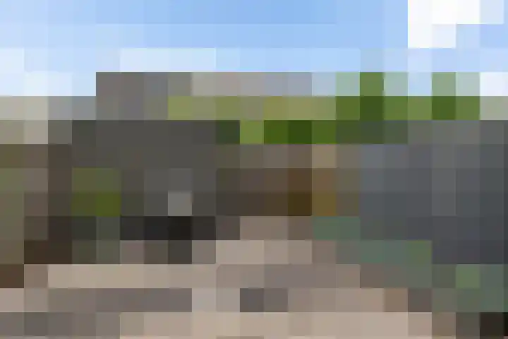 Zwaluwenveld 75 Emmen thumbnail 29