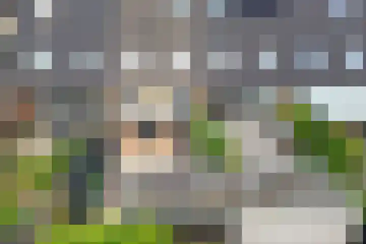 Zwaluwenveld 75 Emmen thumbnail 30