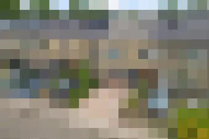Zwaluwenveld 75 Emmen thumbnail 31