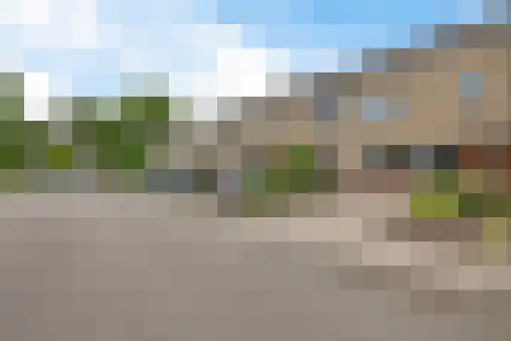 Zwaluwenveld 75 Emmen thumbnail 32