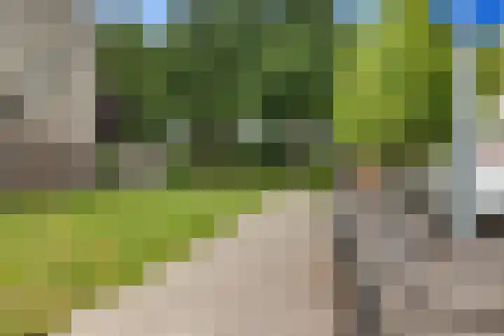 Zwaluwenveld 75 Emmen thumbnail 33