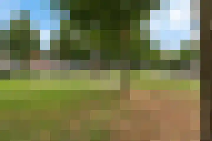 Zwaluwenveld 75 Emmen thumbnail 34