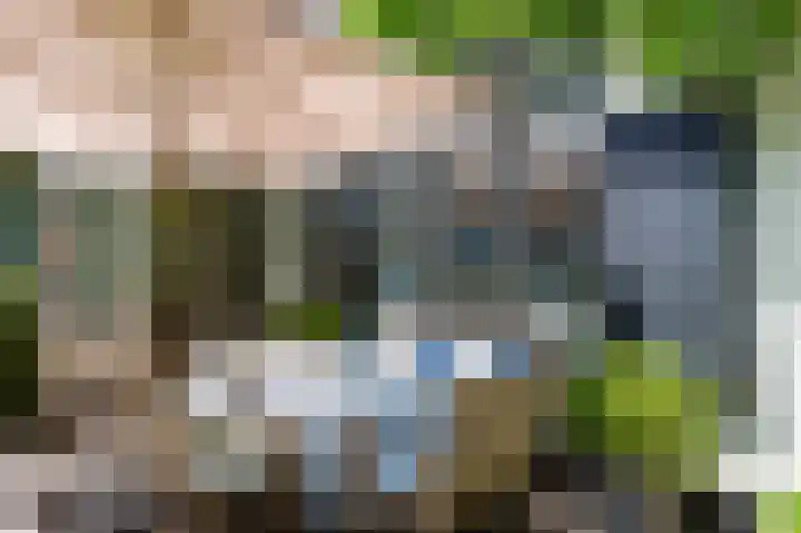 Zwaluwenweg 29 Blaricum thumbnail 14