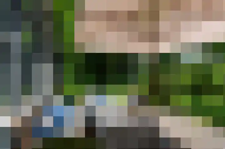 Zwaluwenweg 29 Blaricum thumbnail 15