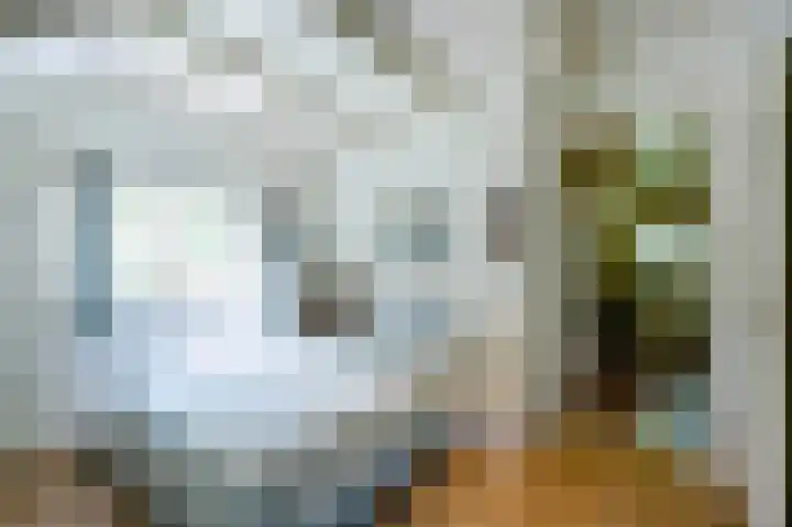 Zwaluwenweg 29 Blaricum thumbnail 36