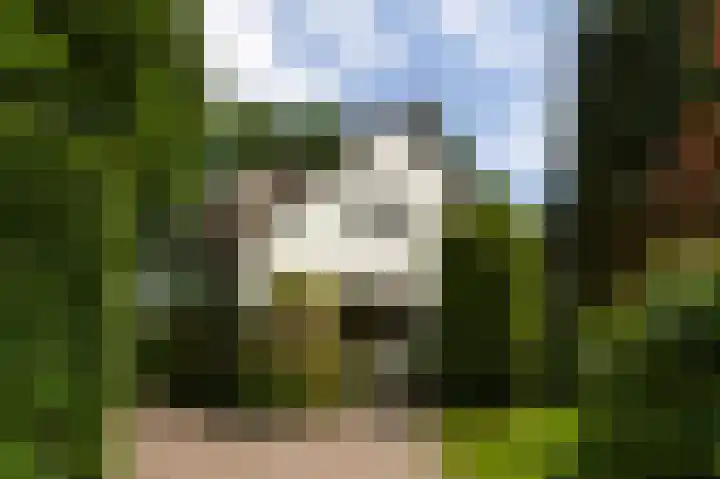 Zwaluwenweg 29 Blaricum thumbnail 4
