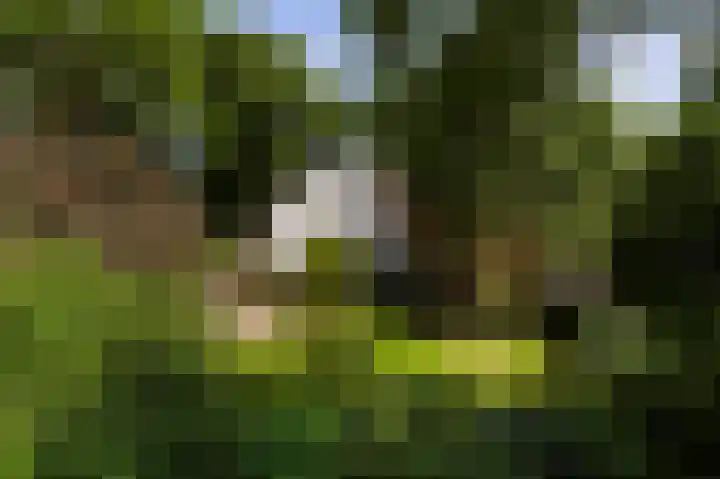Zwaluwenweg 29 Blaricum thumbnail 44