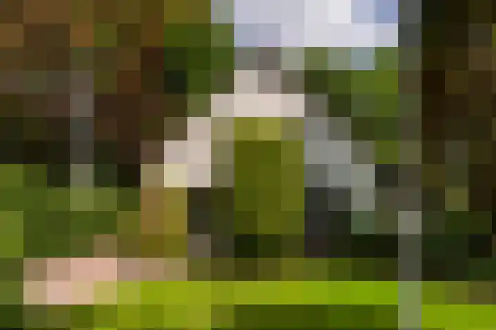 Zwaluwenweg 29 Blaricum thumbnail 45
