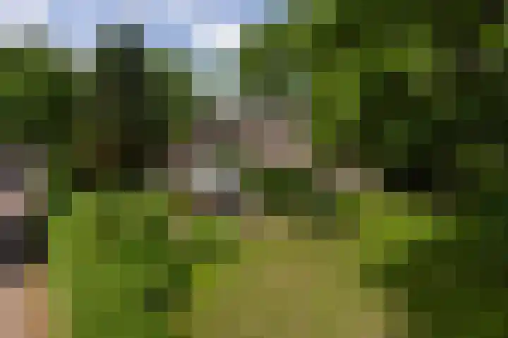 Zwaluwenweg 29 Blaricum thumbnail 46