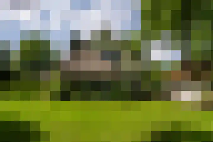 Zwaluwenweg 29 Blaricum thumbnail 48