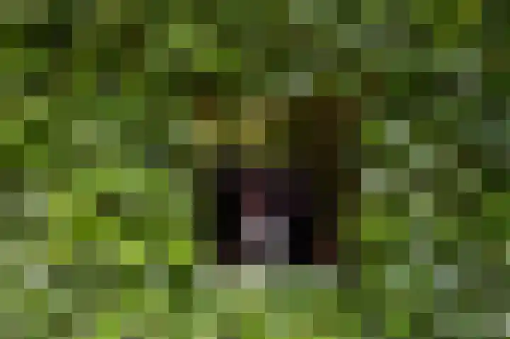 Zwaluwenweg 29 Blaricum thumbnail 5