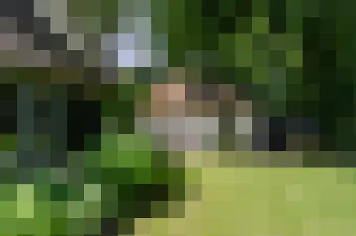 Zwaluwenweg 29 Blaricum thumbnail 50