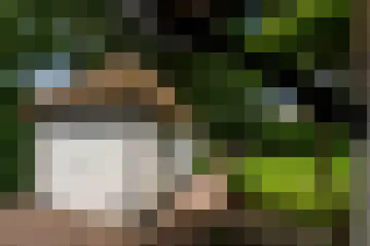 Zwaluwenweg 29 Blaricum thumbnail 51
