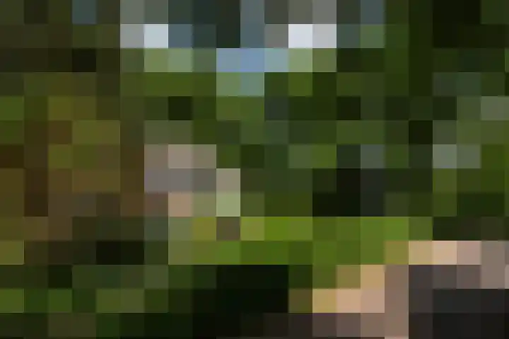 Zwaluwenweg 29 Blaricum thumbnail 52