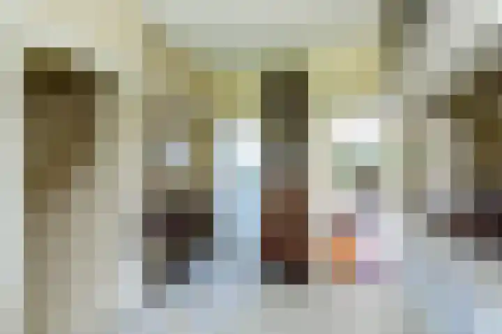 Zwaluwenweg 29 Blaricum thumbnail 8