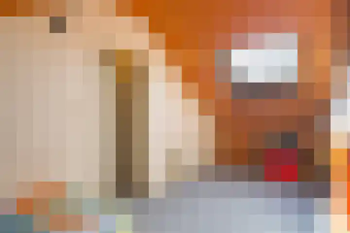 Zwaluwhof 12 Elsloo thumbnail 15