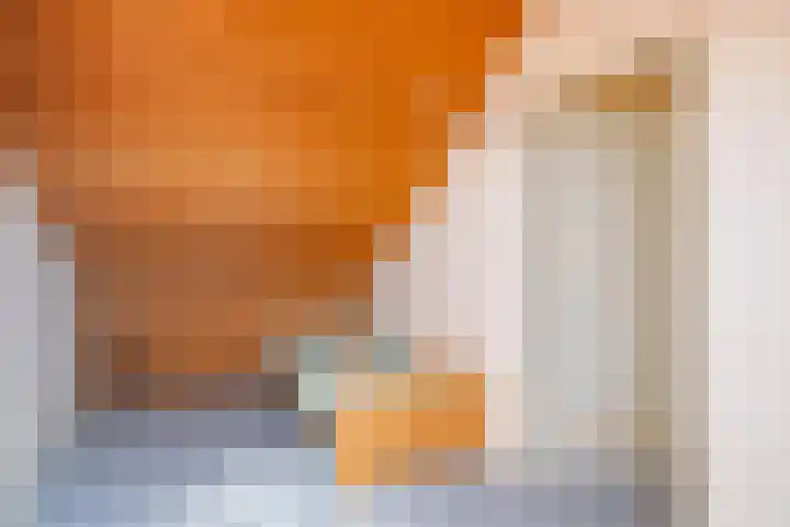 Zwaluwhof 12 Elsloo thumbnail 16