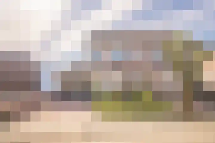 Zwaluwhof 12 Elsloo thumbnail 20