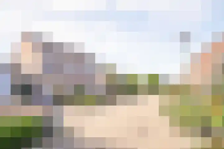Zwaluwhof 12 Elsloo thumbnail 21