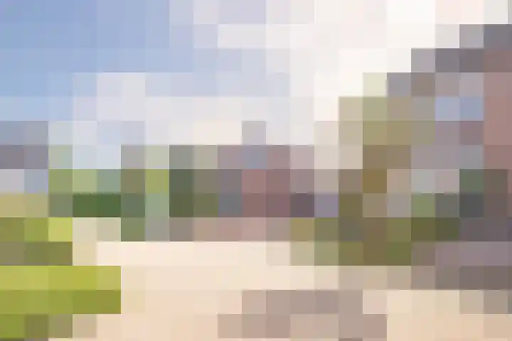 Zwaluwhof 12 Elsloo thumbnail 22