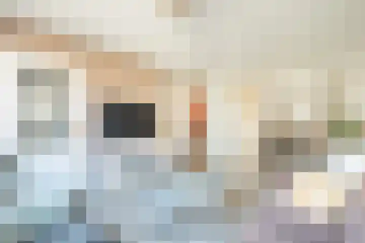 Zwaluwhof 12 Elsloo thumbnail 4