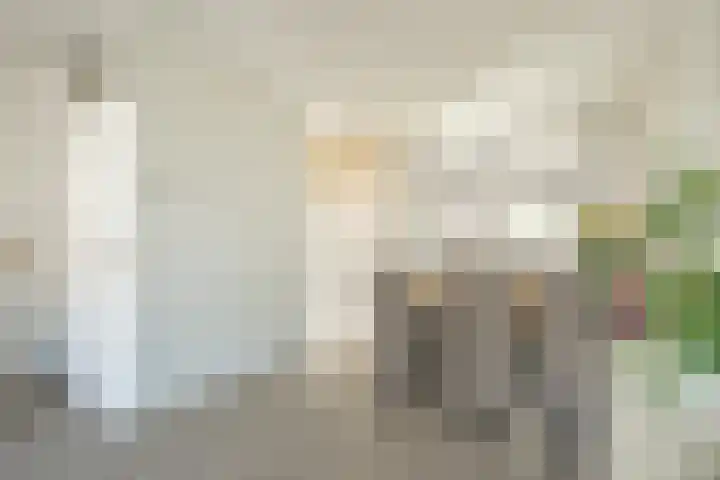 Zwaluwhof 12 Elsloo thumbnail 5