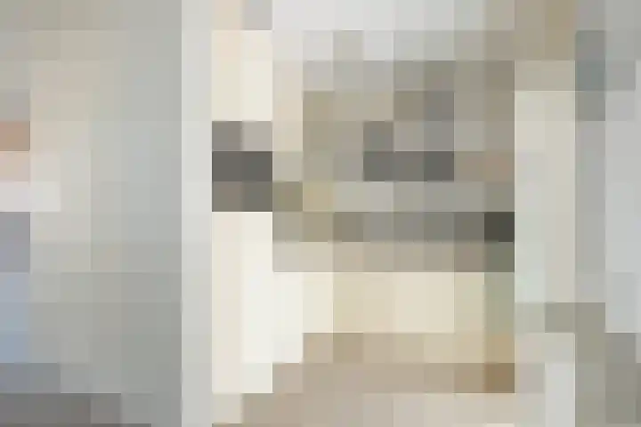 Zwaluwhof 12 Elsloo thumbnail 6