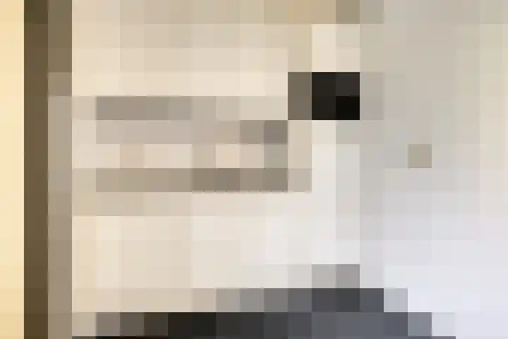 Zwaluwhof 15 Stadskanaal thumbnail 14