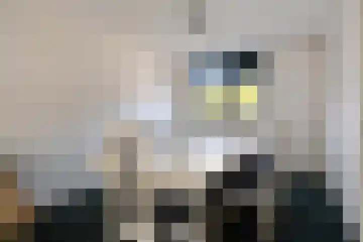 Zwaluwhof 15 Stadskanaal thumbnail 19