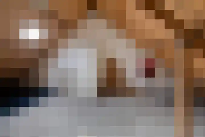 Zwaluwhof 15 Stadskanaal thumbnail 22
