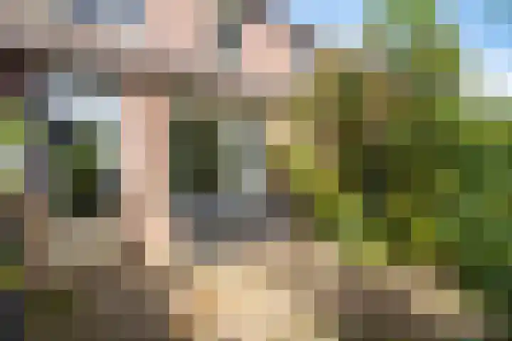 Zwaluwhof 15 Stadskanaal thumbnail 24