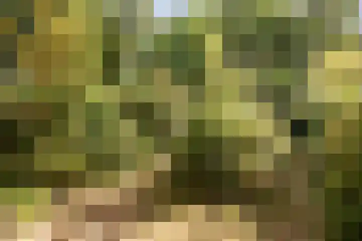 Zwaluwhof 15 Stadskanaal thumbnail 25