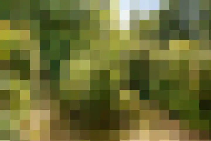 Zwaluwhof 15 Stadskanaal thumbnail 26