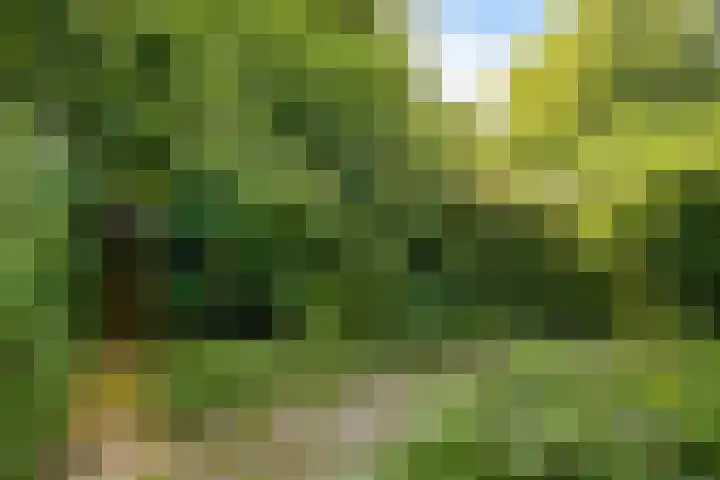 Zwaluwhof 15 Stadskanaal thumbnail 27