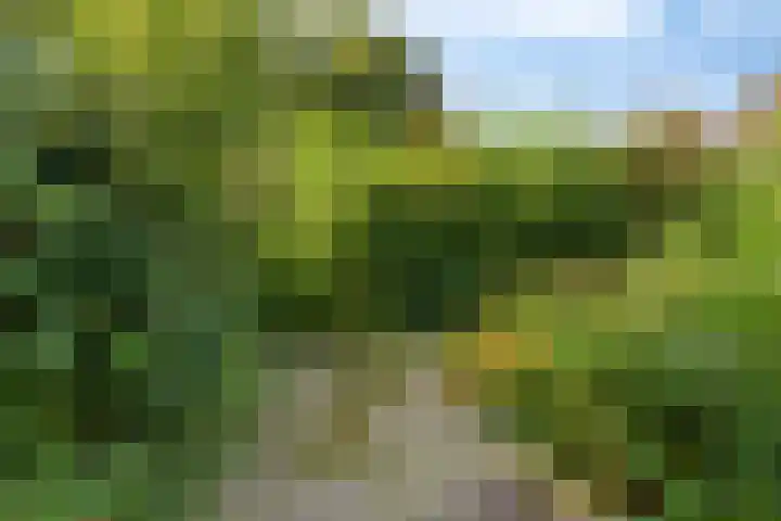 Zwaluwhof 15 Stadskanaal thumbnail 28