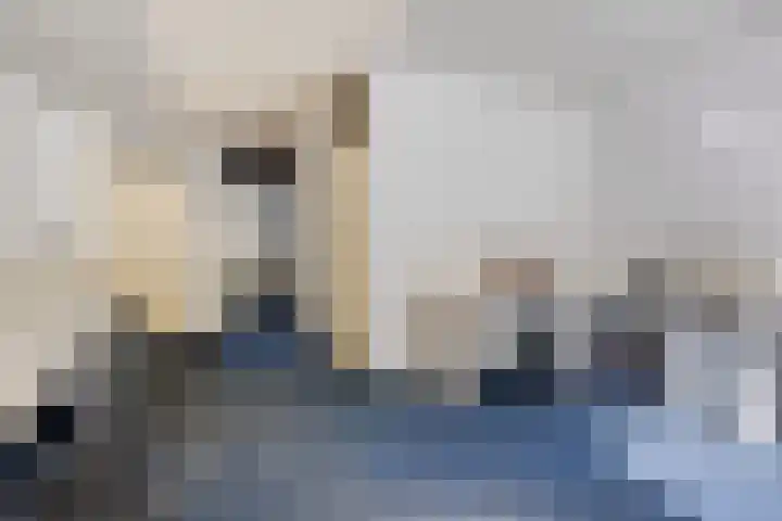 Zwaluwhof 15 Stadskanaal thumbnail 9
