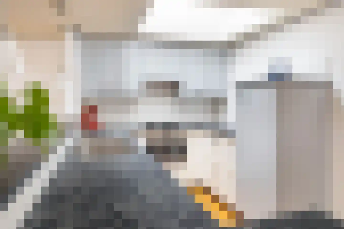 Zwaluwhof 2 Stolwijk thumbnail 12