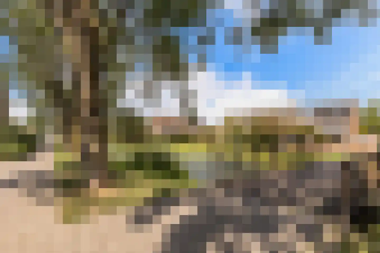 Zwaluwhof 2 Stolwijk thumbnail 37