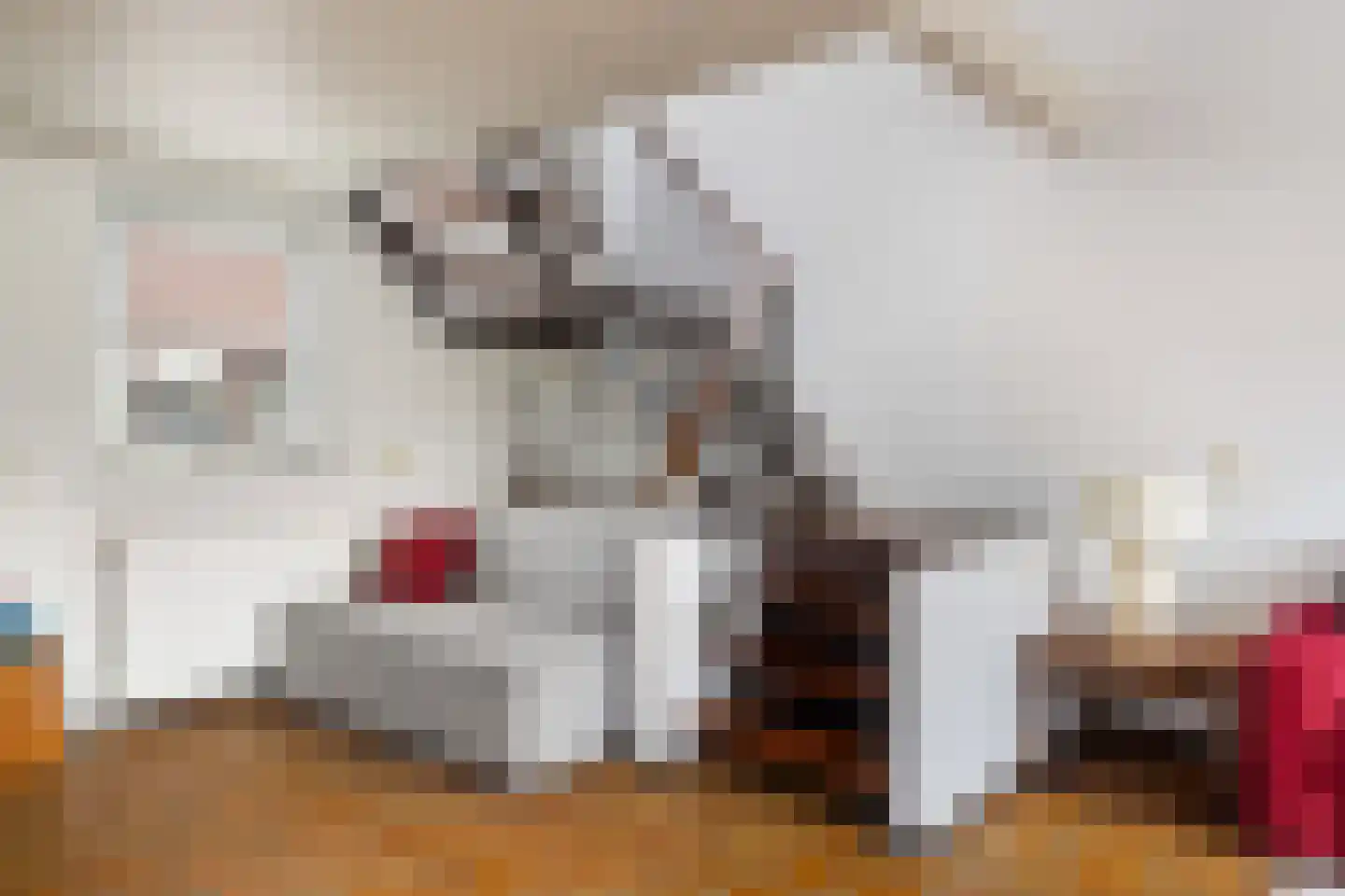 Zwaluwhof 2 Stolwijk thumbnail 8