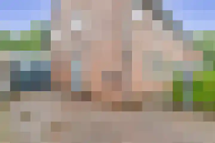 Zwaluwhof 43 Stadskanaal thumbnail 10