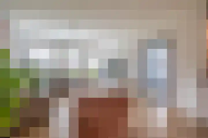 Zwaluwhof 43 Stadskanaal thumbnail 18