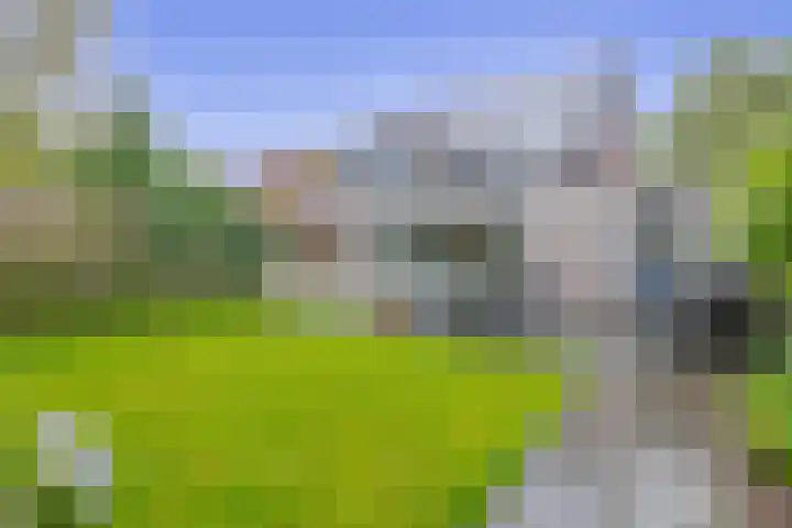 Zwaluwhof 43 Stadskanaal thumbnail 4