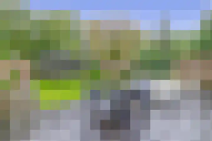 Zwaluwhof 43 Stadskanaal thumbnail 45