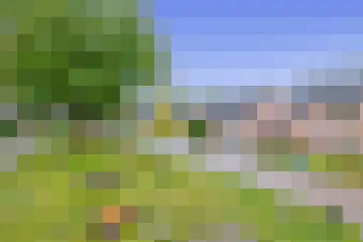 Zwaluwhof 43 Stadskanaal thumbnail 47