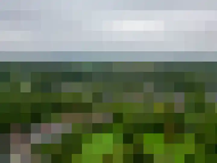 Zwaluwhof 43 Stadskanaal thumbnail 57