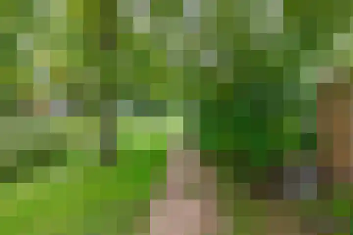 Zwaluwhof 43 Stadskanaal thumbnail 58