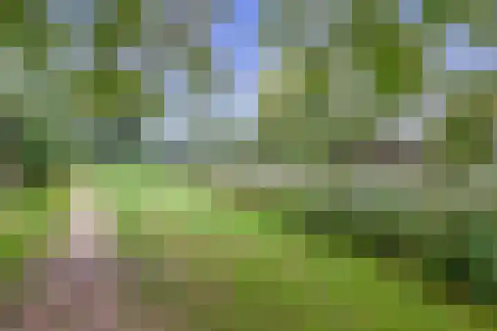 Zwaluwhof 43 Stadskanaal thumbnail 59