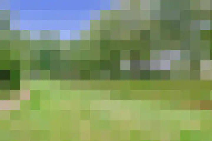 Zwaluwhof 43 Stadskanaal thumbnail 61