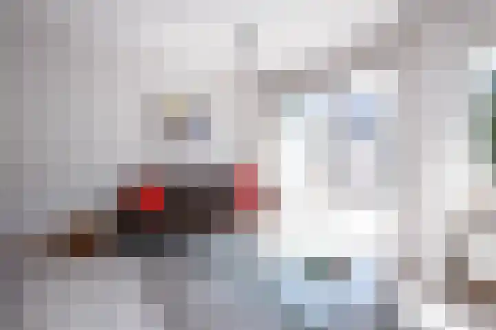 Zwaluwhof 5 Moordrecht thumbnail 12