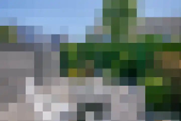 Zwaluwhof 5 Moordrecht thumbnail 26